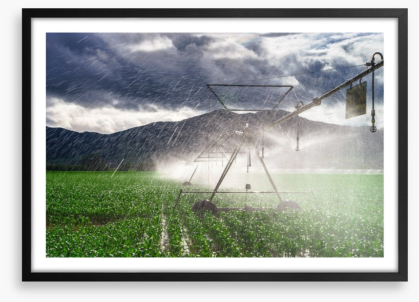 Agriculture