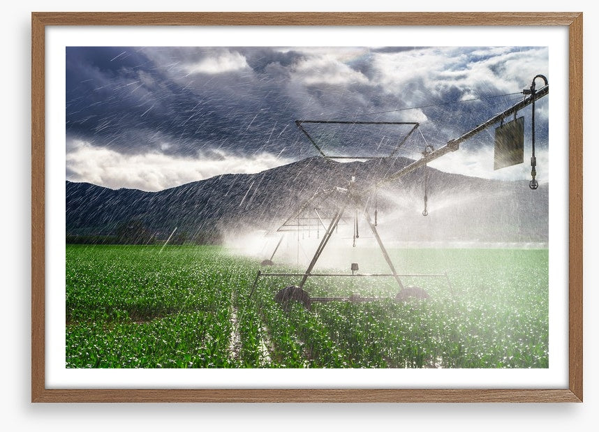 Agriculture