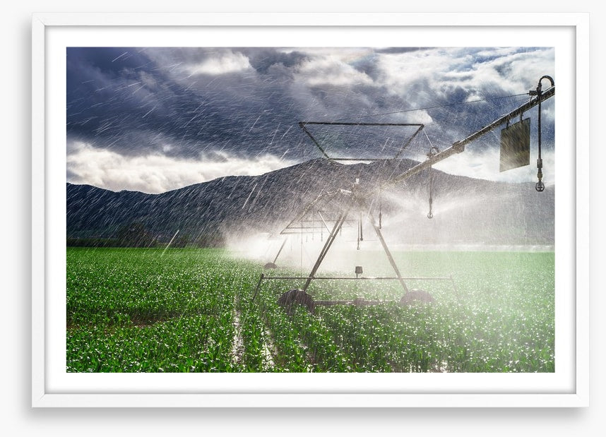 Agriculture