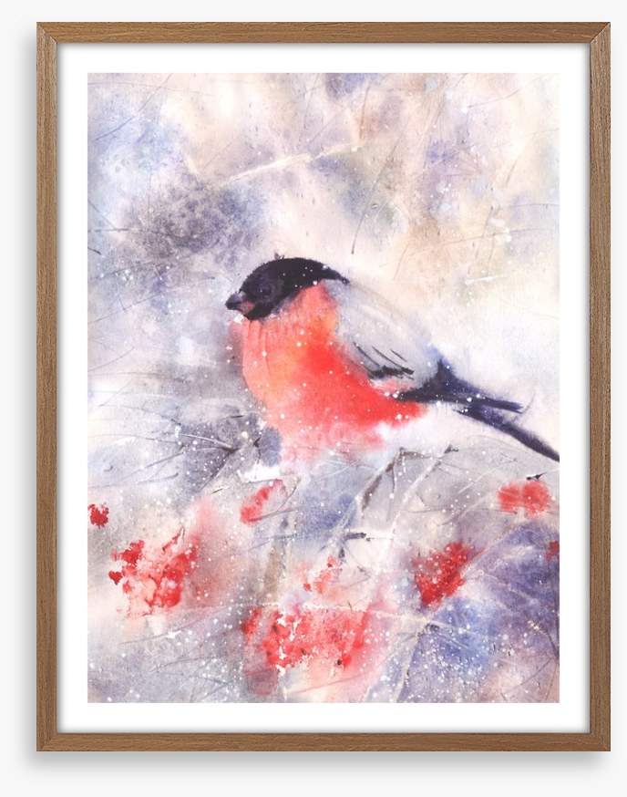Bullfinch in the frost