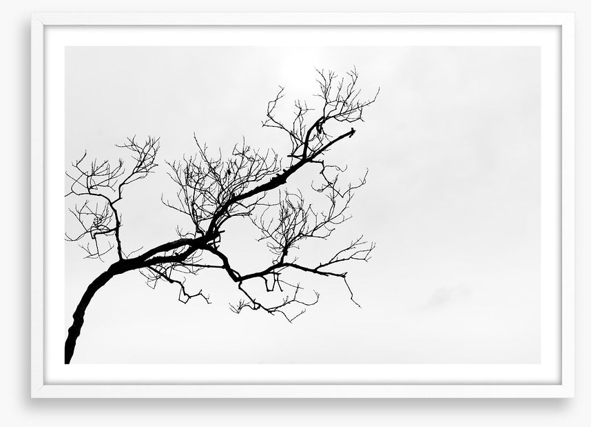 Branch right