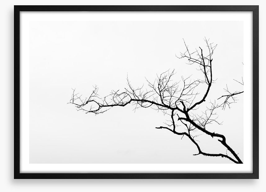 Branch left