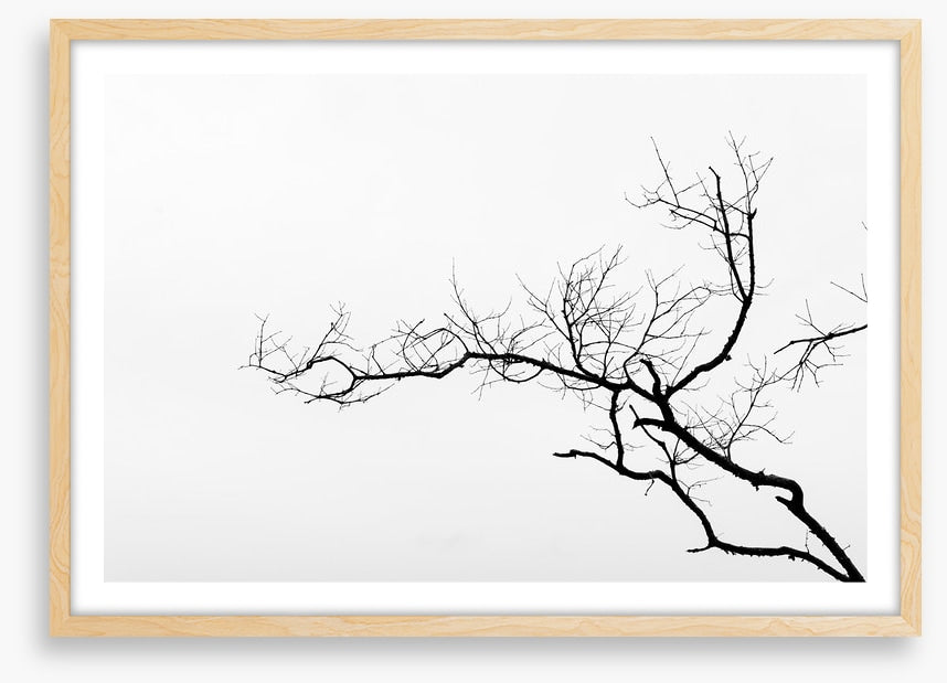 Branch left