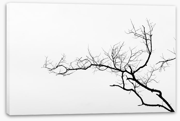 Branch left