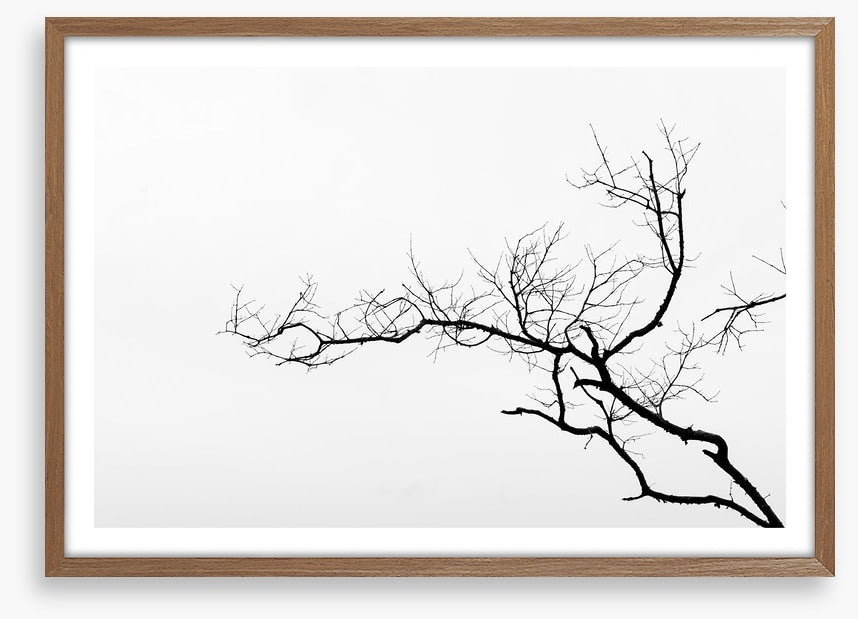 Branch left