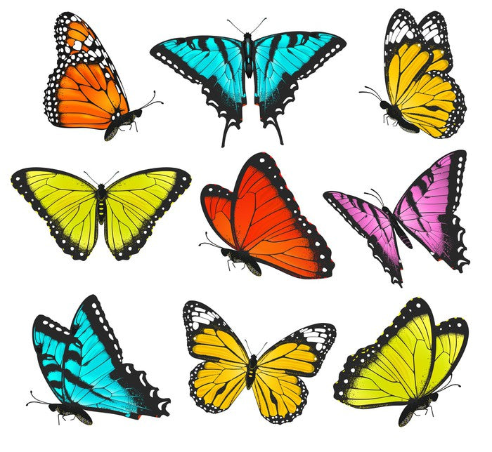 Butterflies