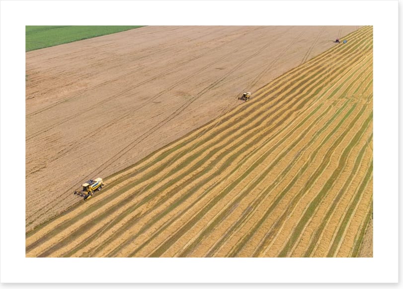 Agriculture