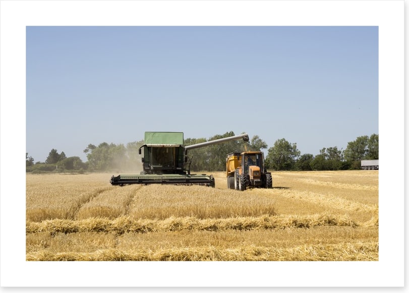 Agriculture