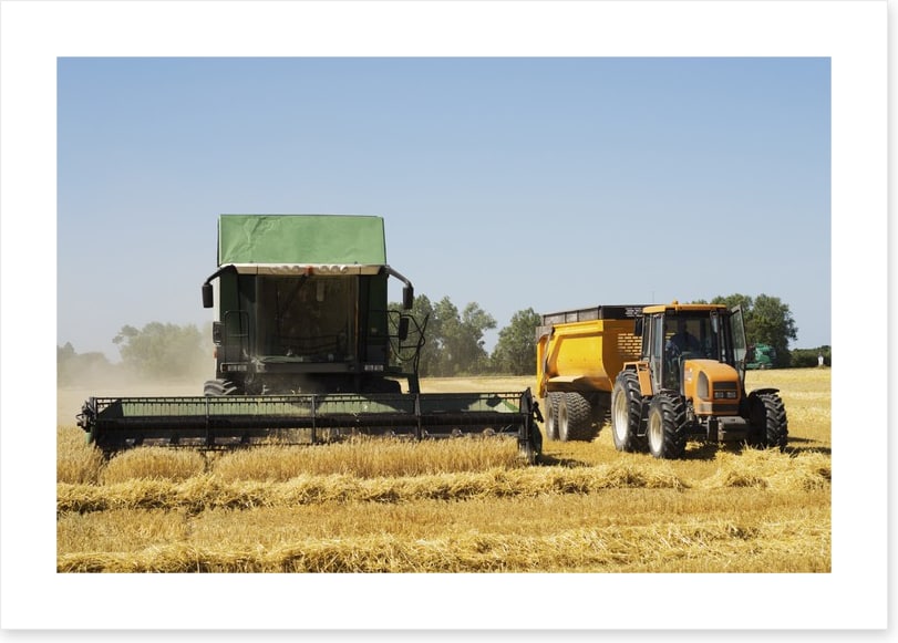 Agriculture