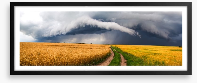 Storm in the rye