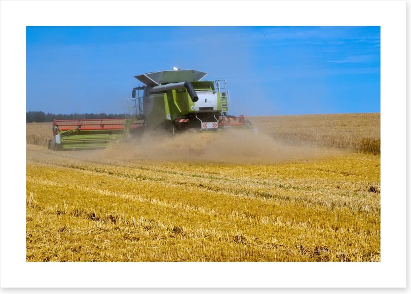 Agriculture