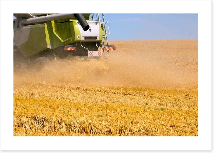 Agriculture