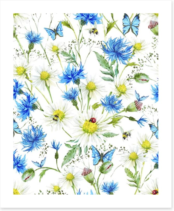 In the cornflowers
