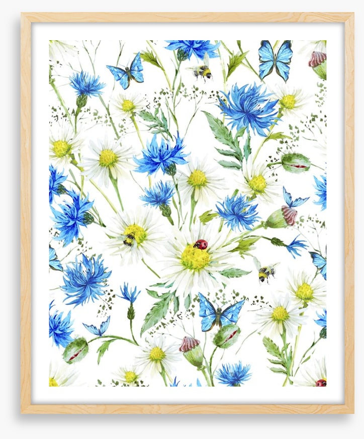 In the cornflowers