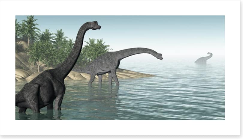 Brachiosaurus paddle