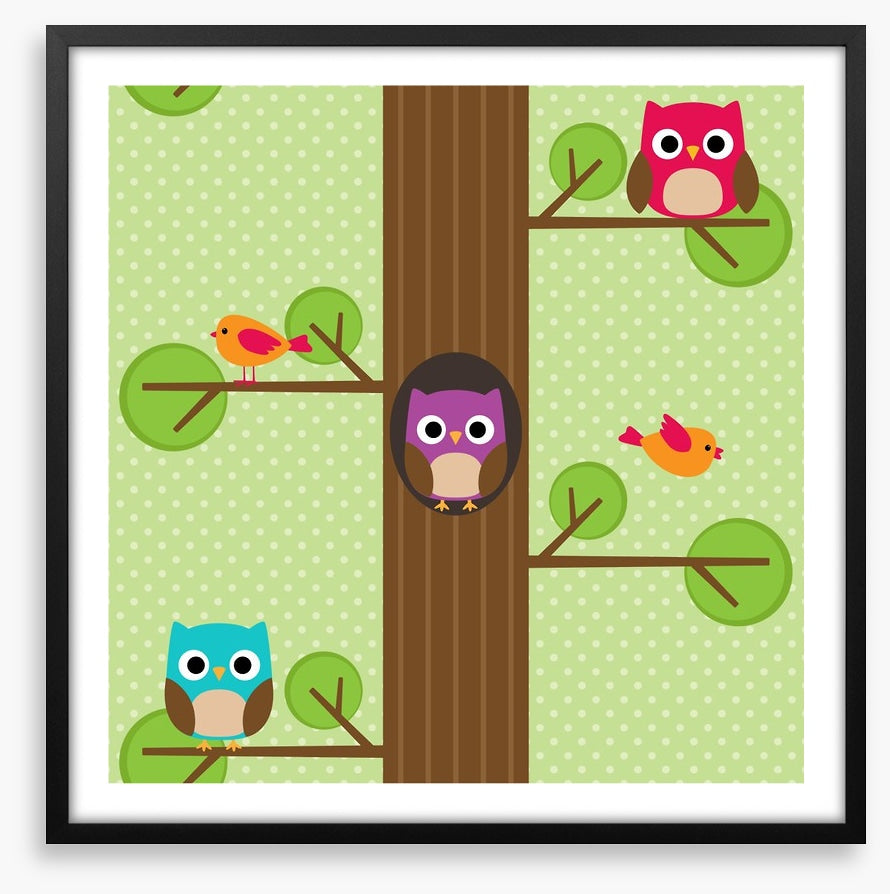 Owls