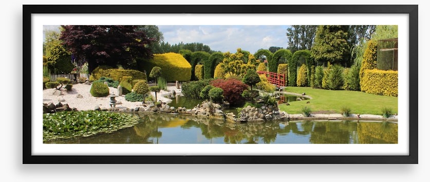 Green zen garden