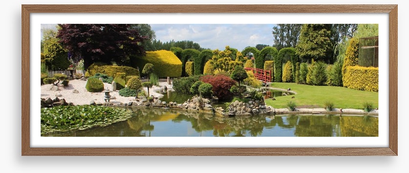 Green zen garden