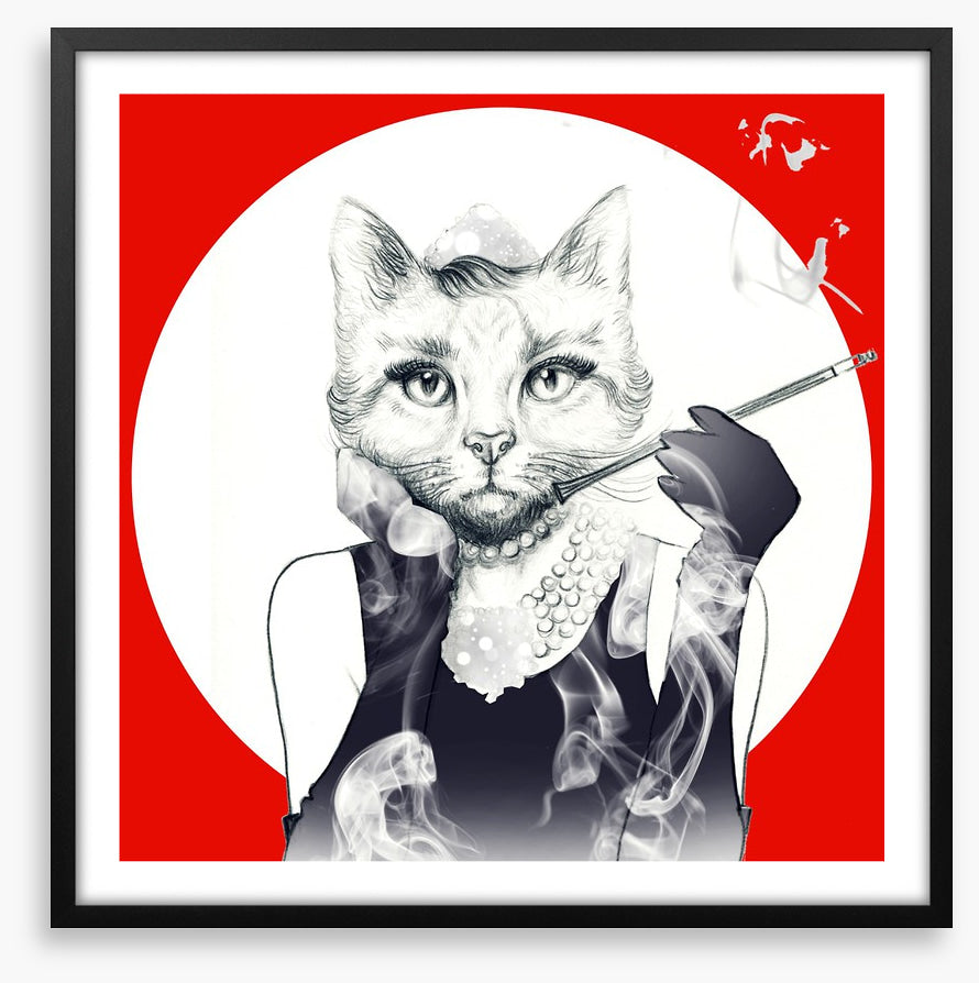Feline of the night