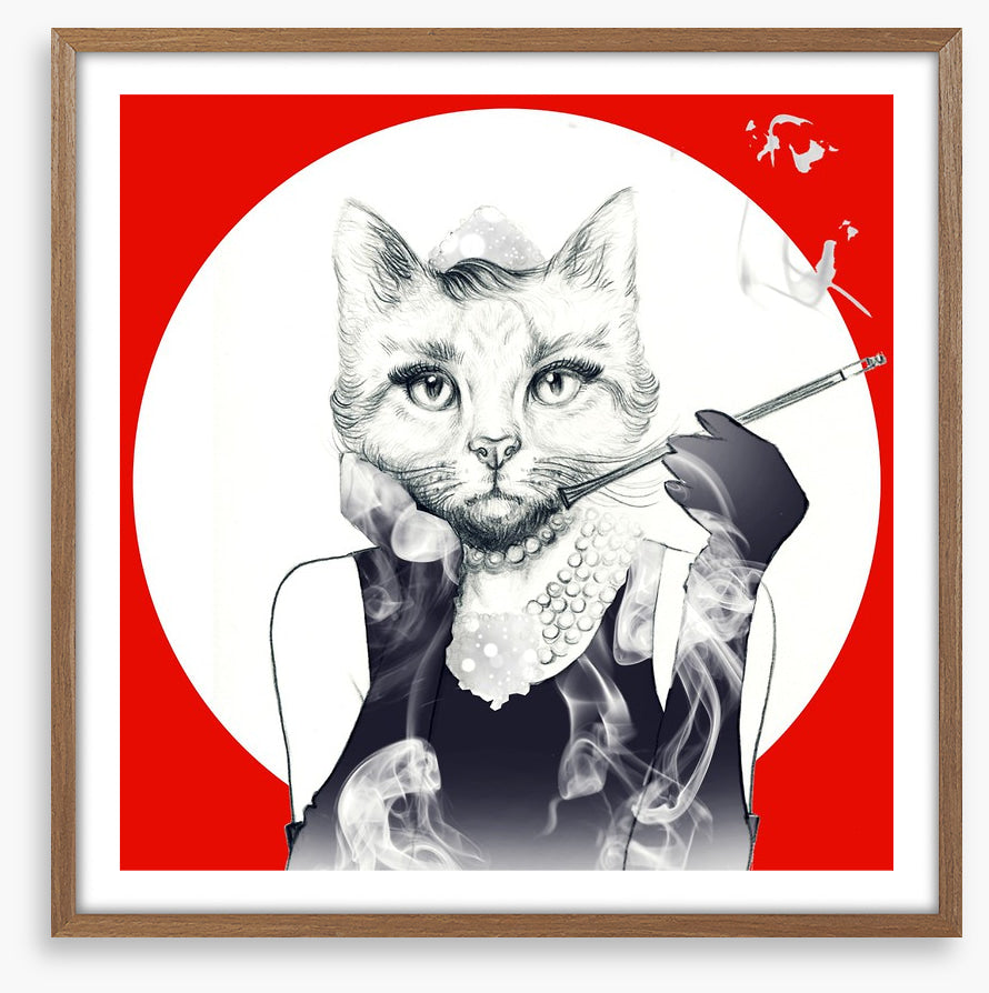 Feline of the night