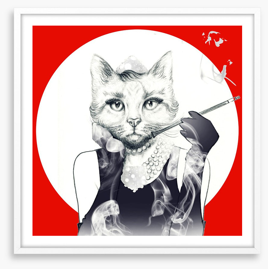 Feline of the night