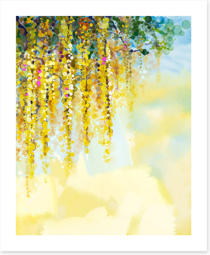Wisteria sunlight