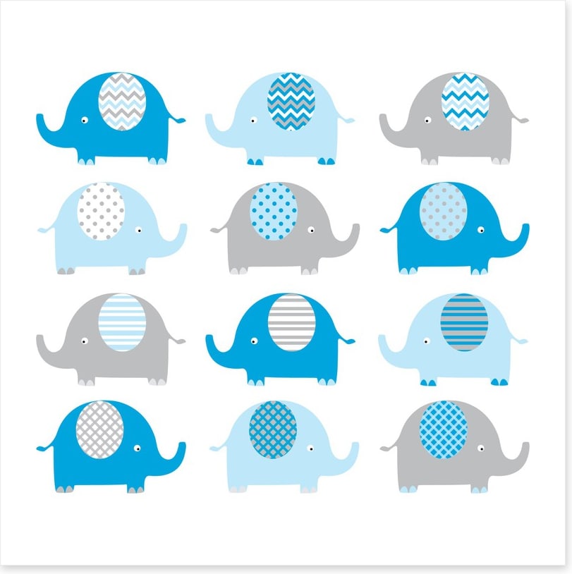 Baby blue elephants
