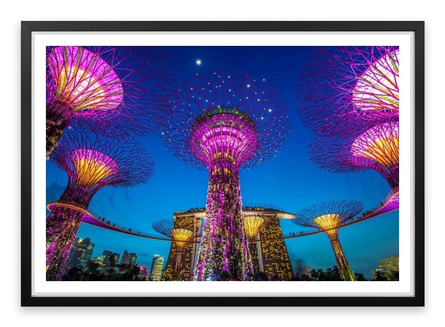 Singapore supertree