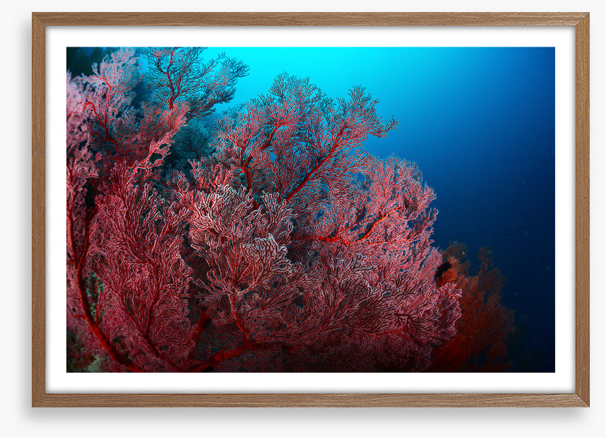 Underwater