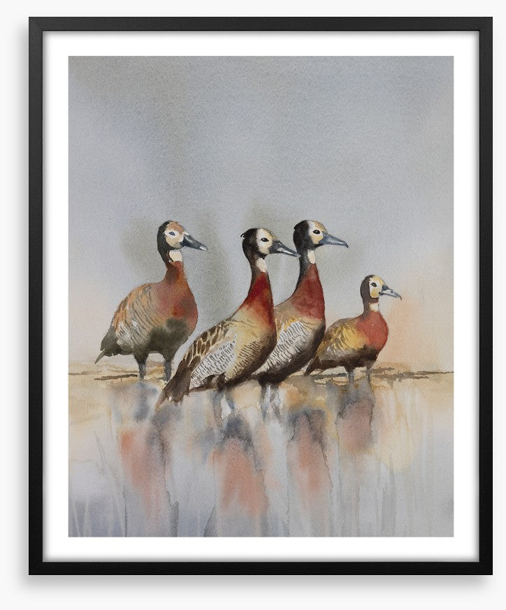 Four whistling ducks