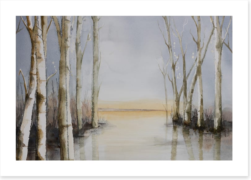 Lakeside copse