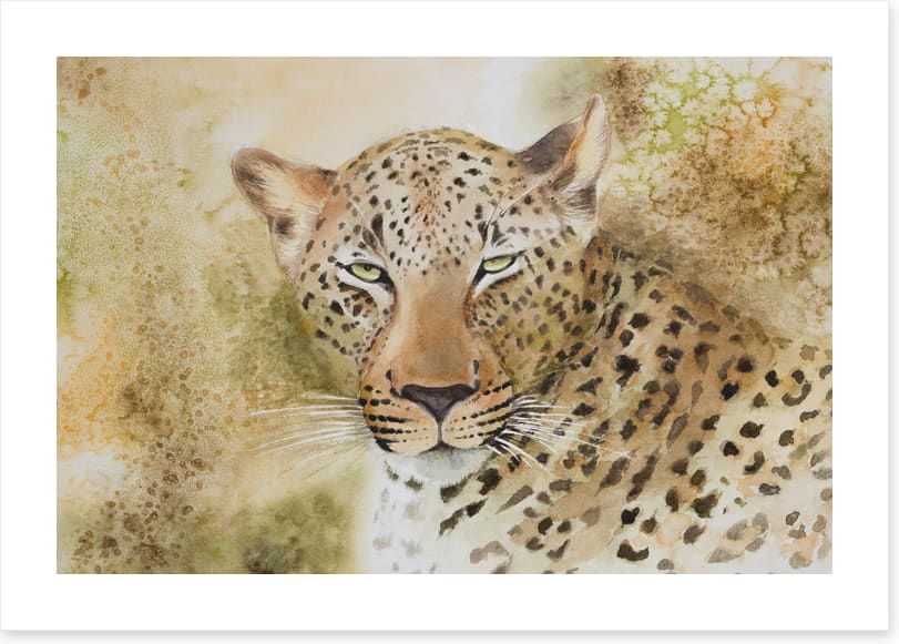 Languorous leopard