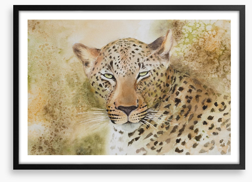 Languorous leopard