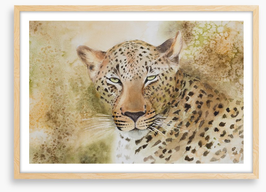 Languorous leopard
