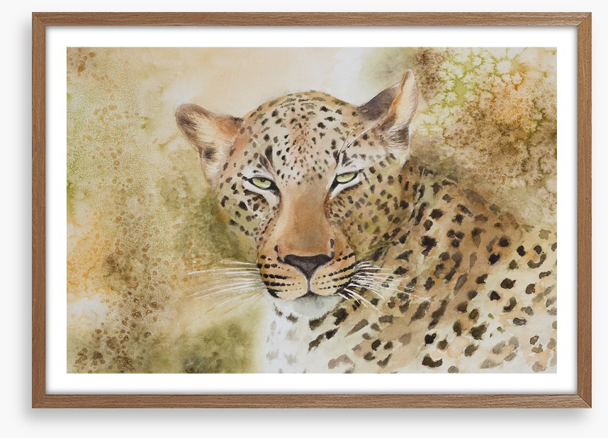 Languorous leopard