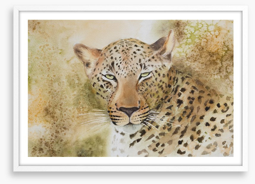 Languorous leopard