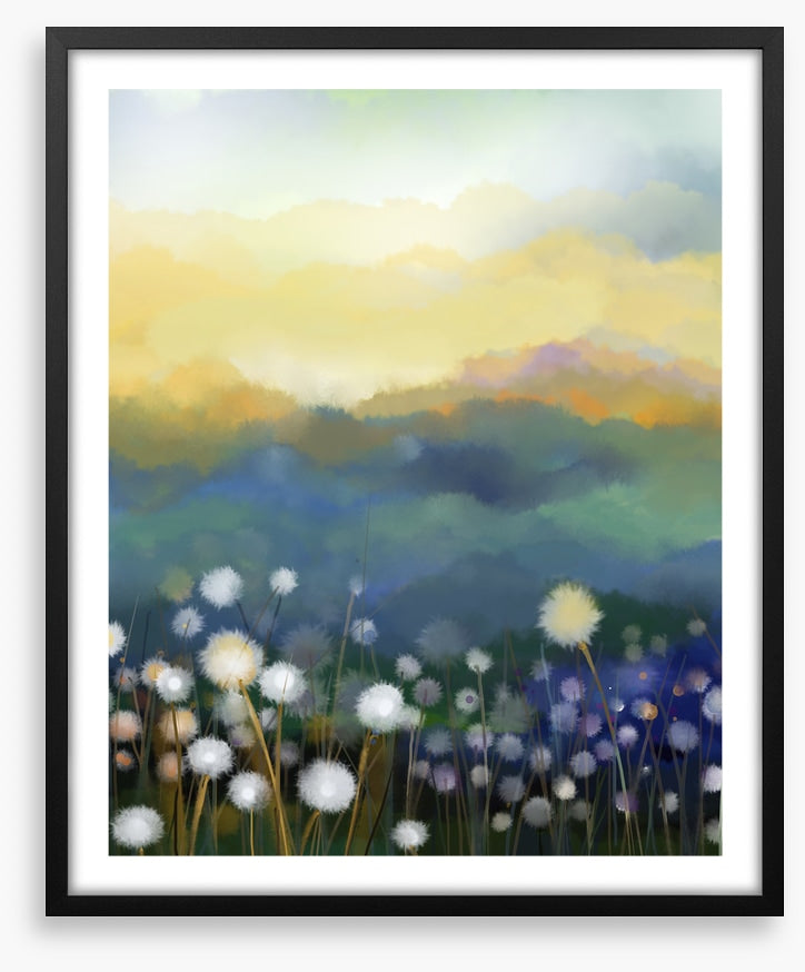 Meadow morning