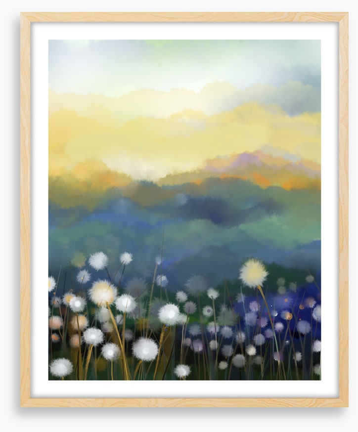 Meadow morning