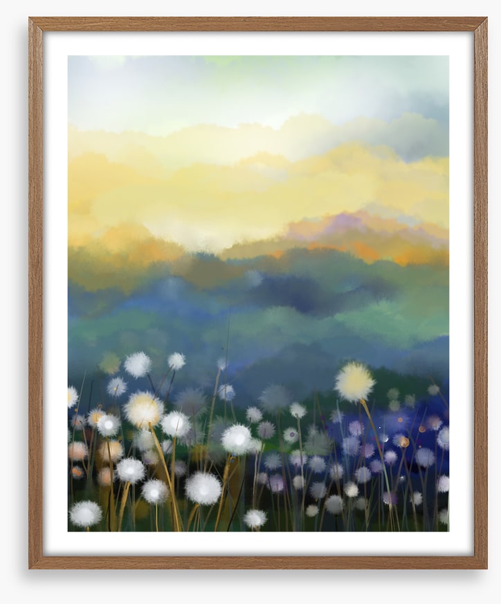 Meadow morning