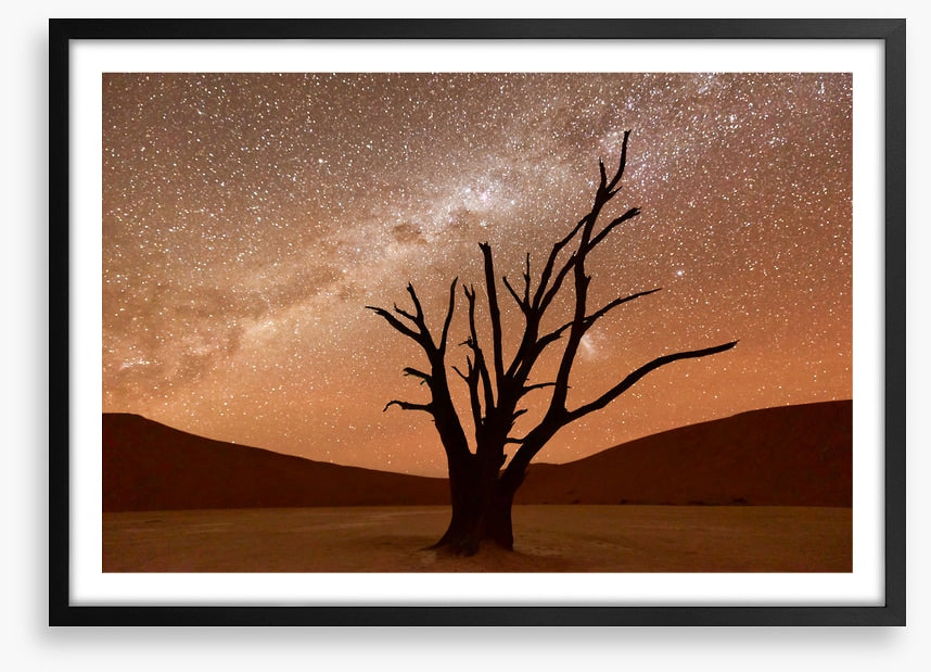 Namibian nights