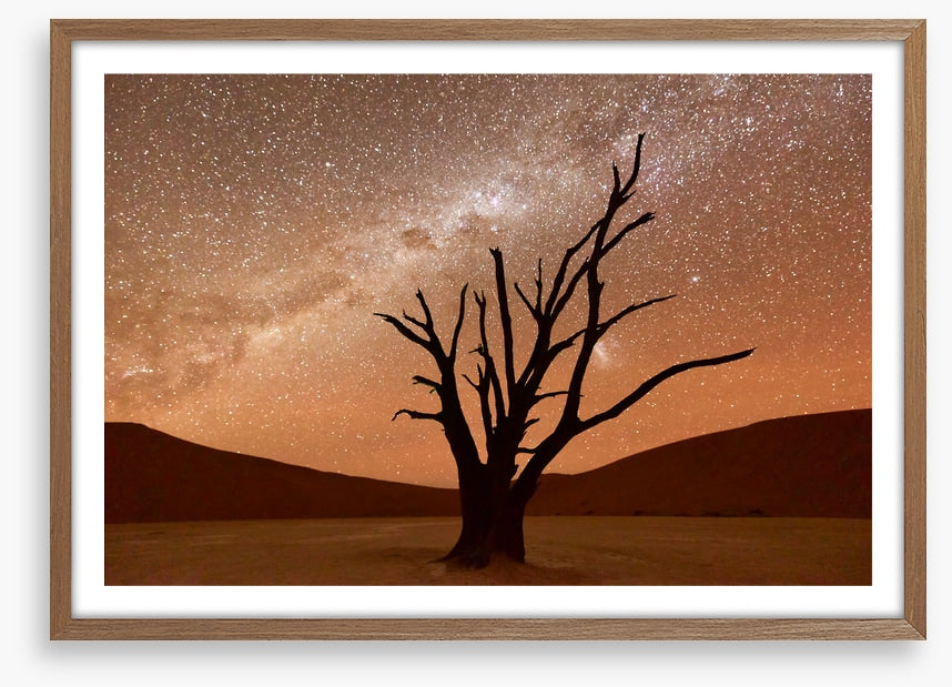 Namibian nights