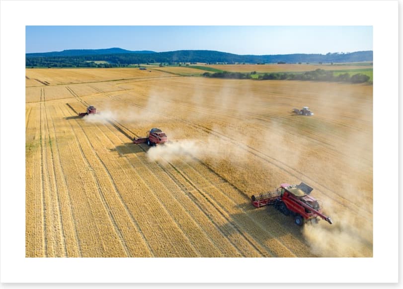 Agriculture