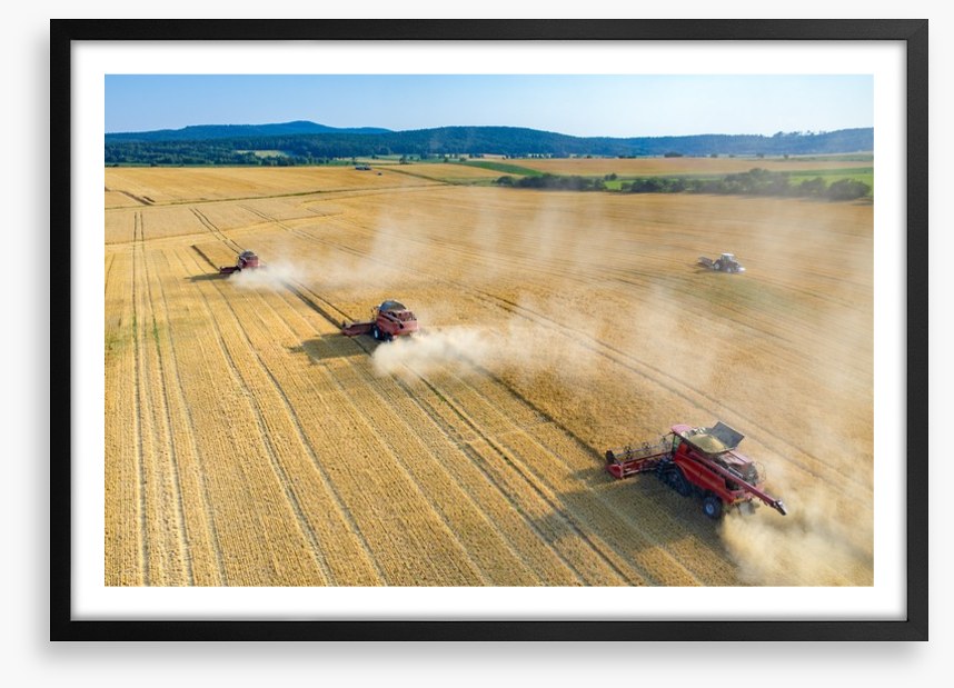 Agriculture