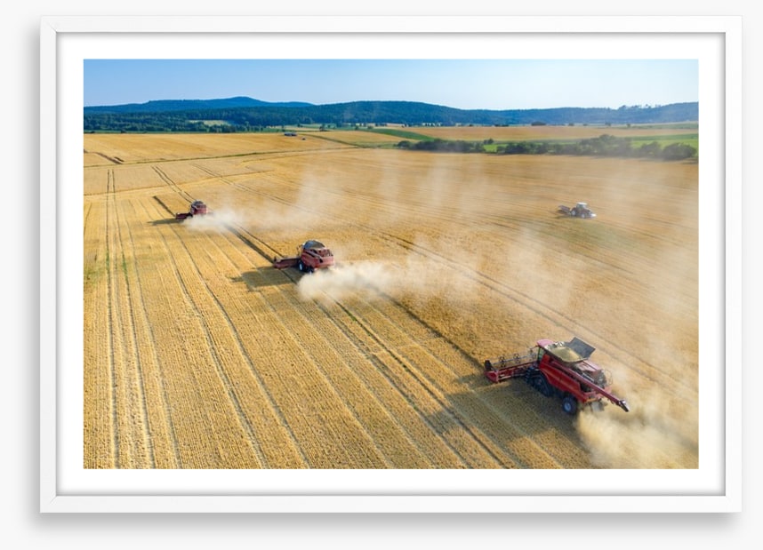 Agriculture
