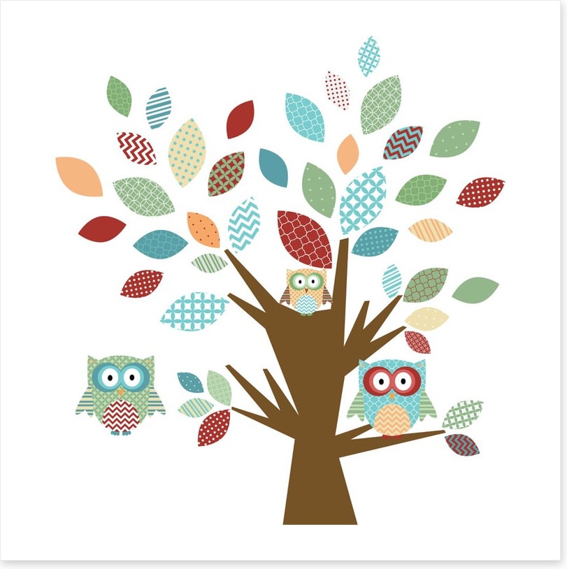 Owls