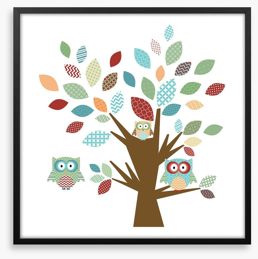 Owls