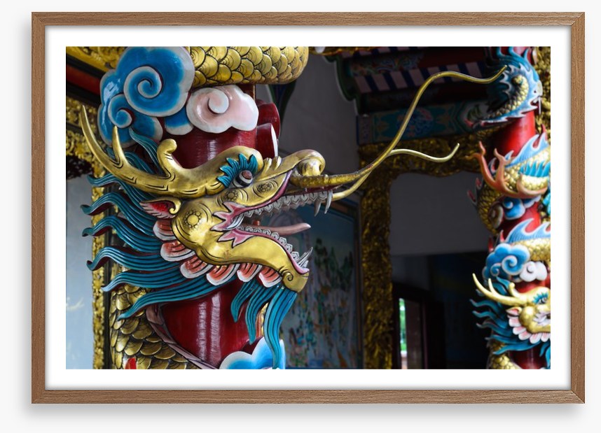 Dragons