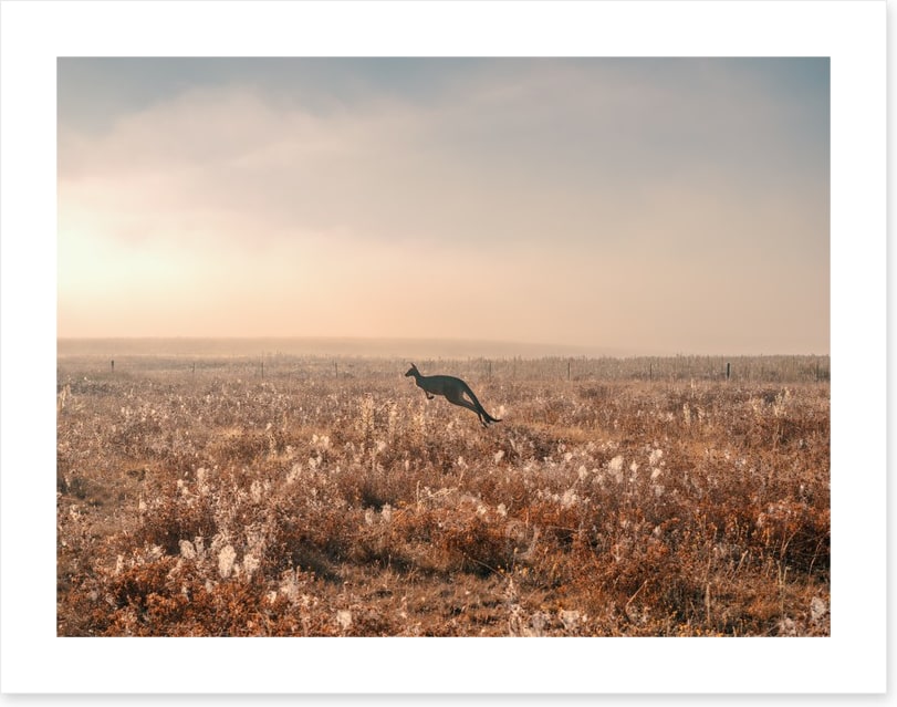 Boundless plains