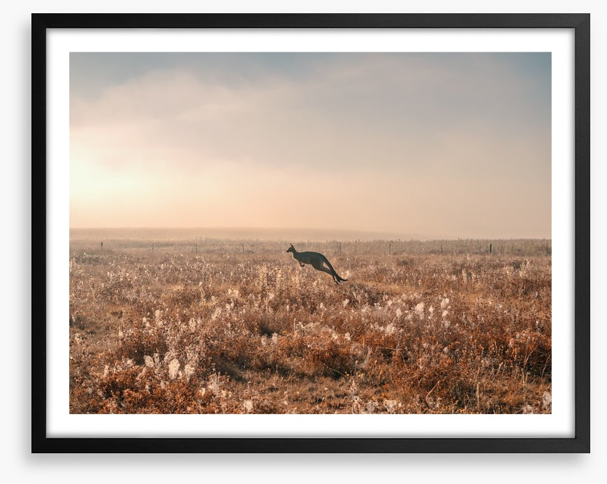 Boundless plains