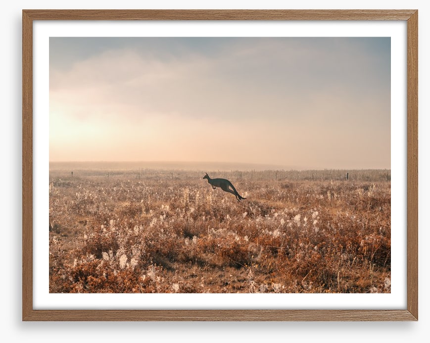 Boundless plains